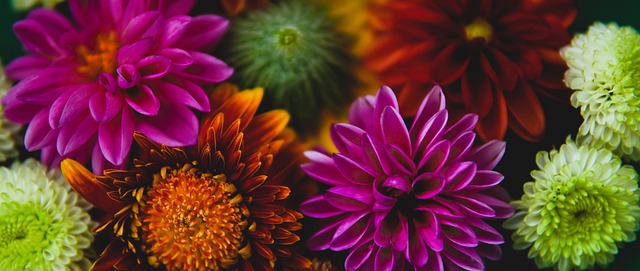 历将成为他 历将成为他