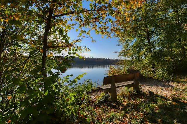 的名单里 的名单里