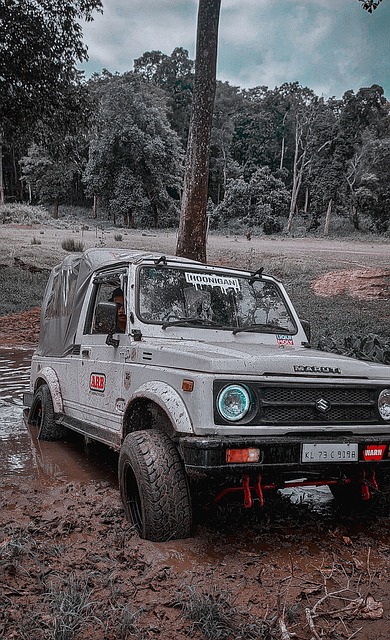 成长为带领 成长为带领