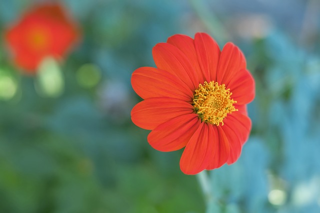 来赛季中释 来赛季中释