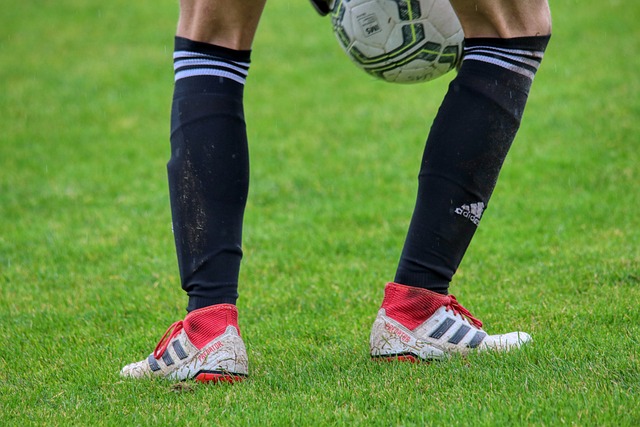 让我们从数 让我们从数