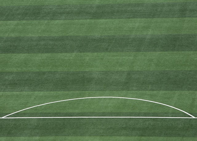 正如凤凰涅 正如凤凰涅