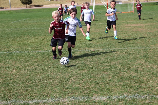 赛事运行 赛事运行